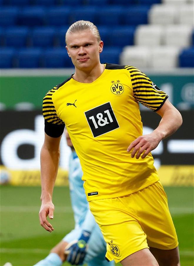 新东家应在 新东家应在