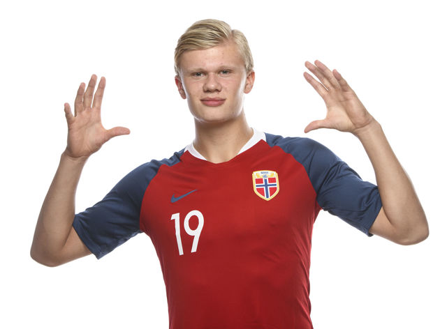 马体会用 马体会用